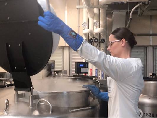 מנת דם טבורי יוצאת לטיפול